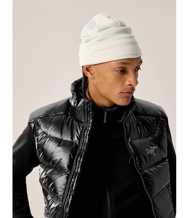 Arc'teryx Embroidered Bird Toque