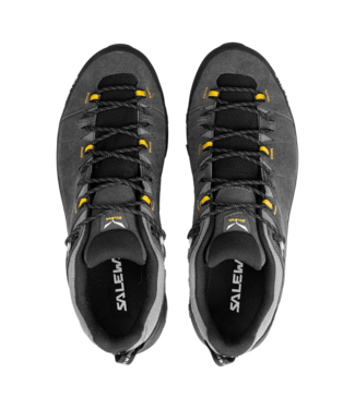 Salewa Alp Trainer 2 Gore-Tex Shoe For Men