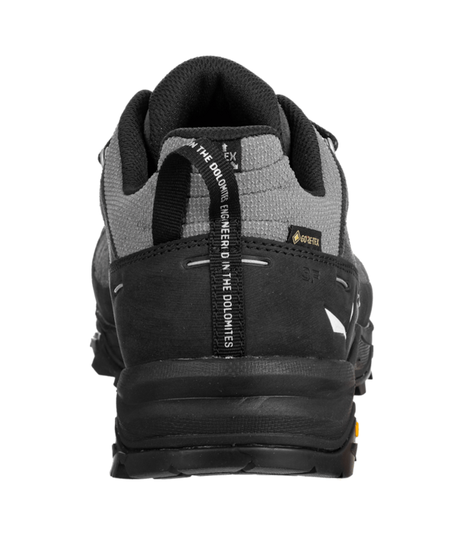 Salewa Alp Trainer 2 Gore-Tex Shoe For Men