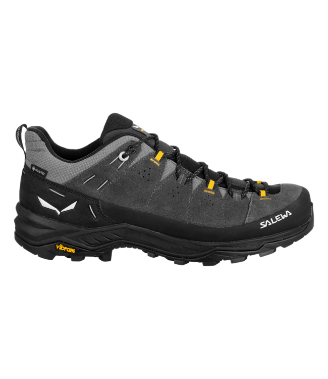 Salewa Alp Trainer 2 Gore-Tex Shoe For Men