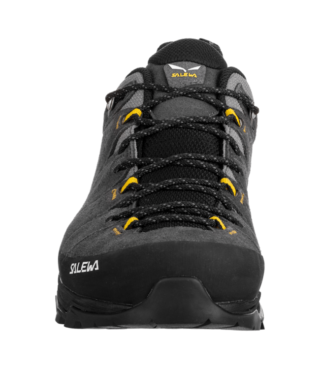 Salewa Alp Trainer 2 Gore-Tex Shoe For Men