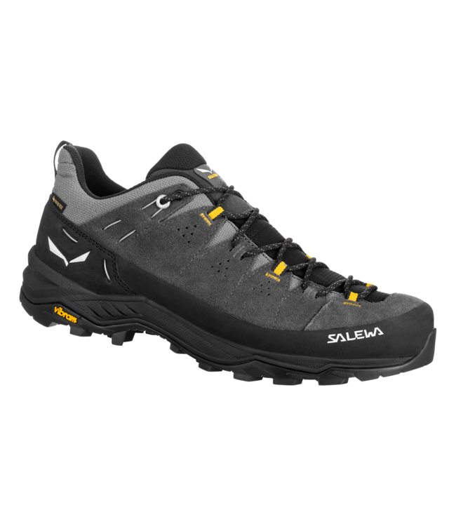 Salewa Alp Trainer 2 Gore-Tex Shoe For Men
