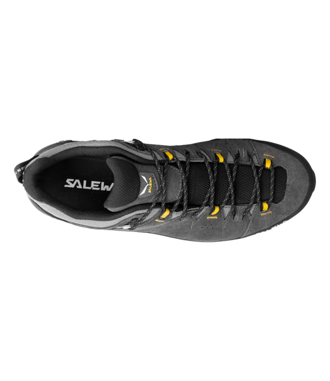 Salewa Alp Trainer 2 Gore-Tex Shoe For Men