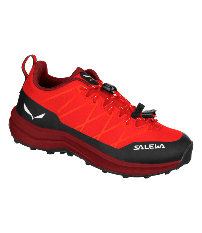 Salewa Wildfire 2 Shoe For Kids