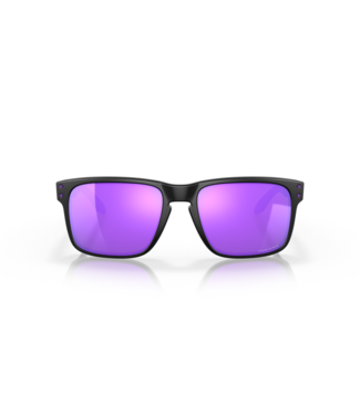 Oakley Holbrook Sunglasses