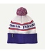 Patagonia Powder Town Ski Beanie