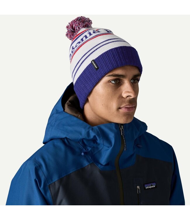 Patagonia Powder Town Ski Beanie