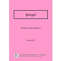 Gerben Pijl Spiegel