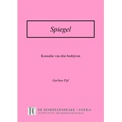 Gerben Pijl Spiegel