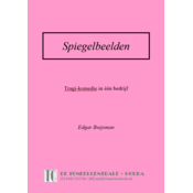Edgar Buijsman Spiegelbeelden