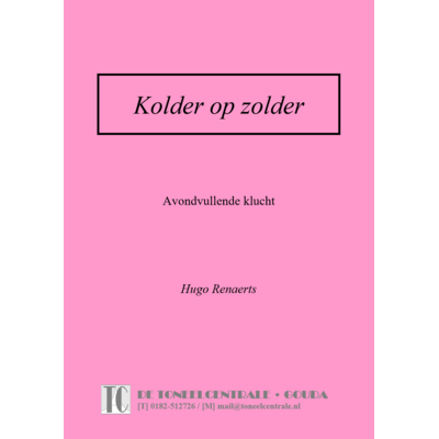 Hugo Renaerts Kolder op zolder