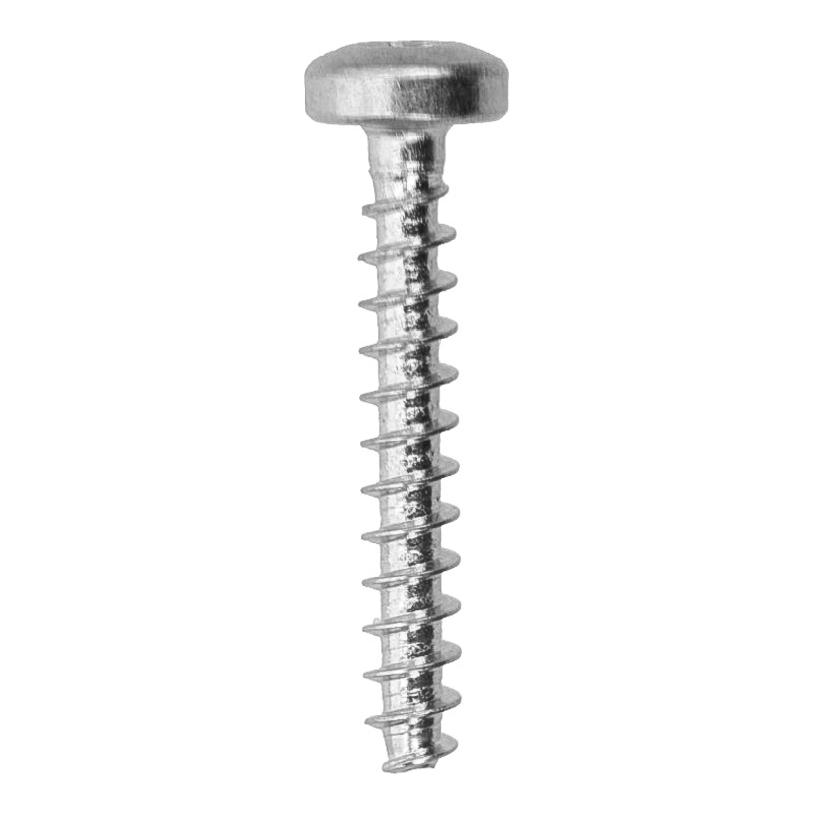 Schroef (T10 / 3x20mm) voor maalmolen bevestiging