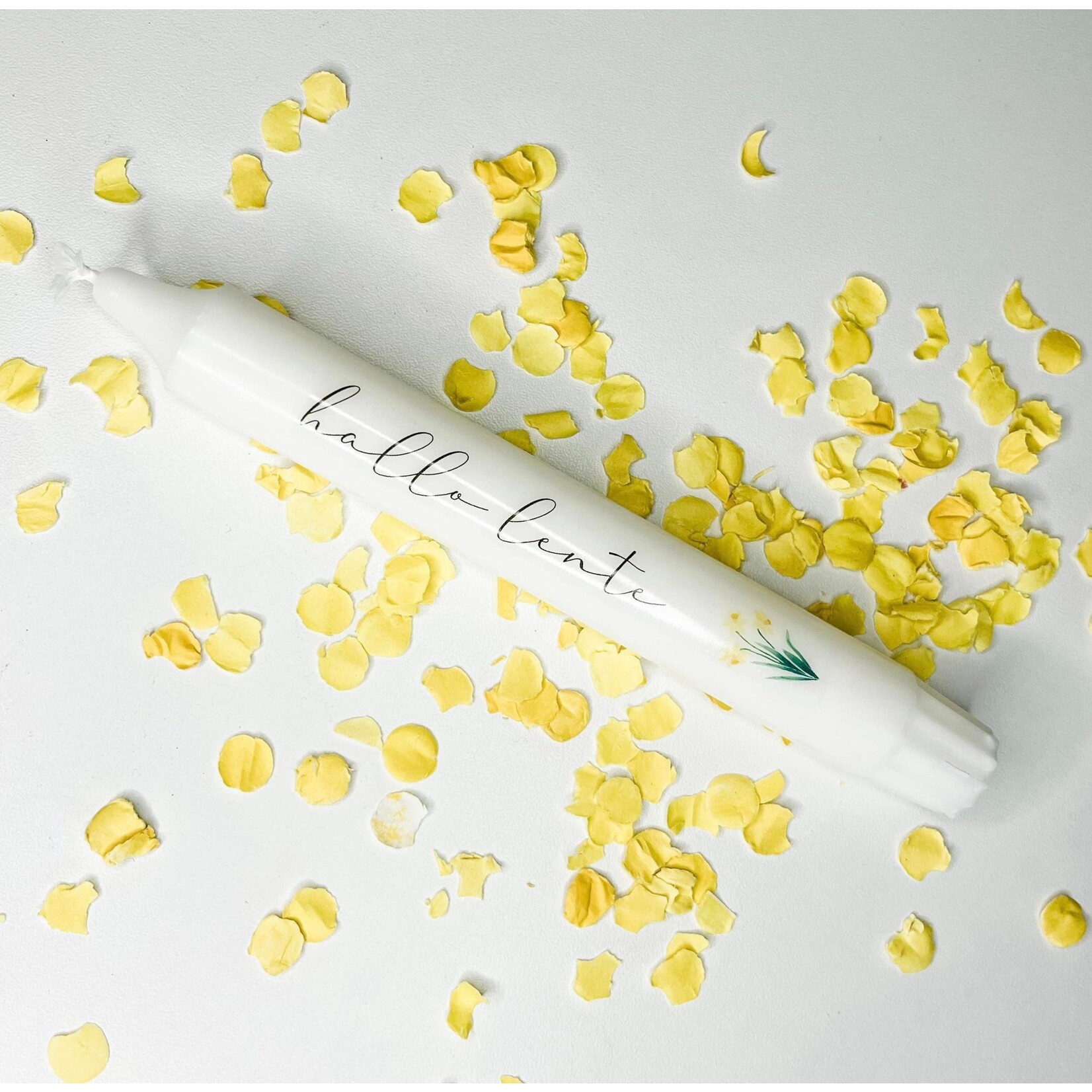 Leukmetletters Kaars | Hallo lente