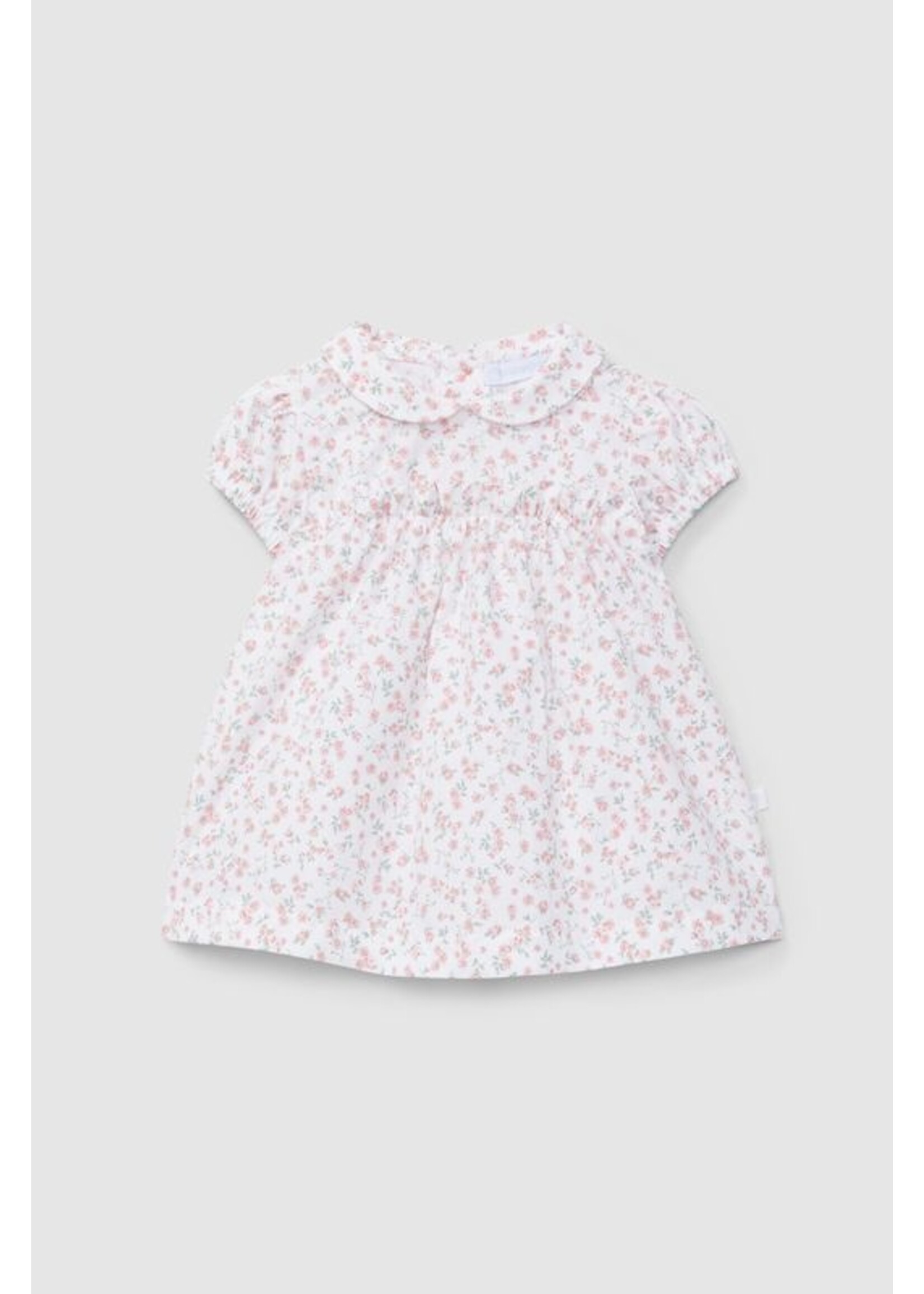 LARANIJNHA Dress