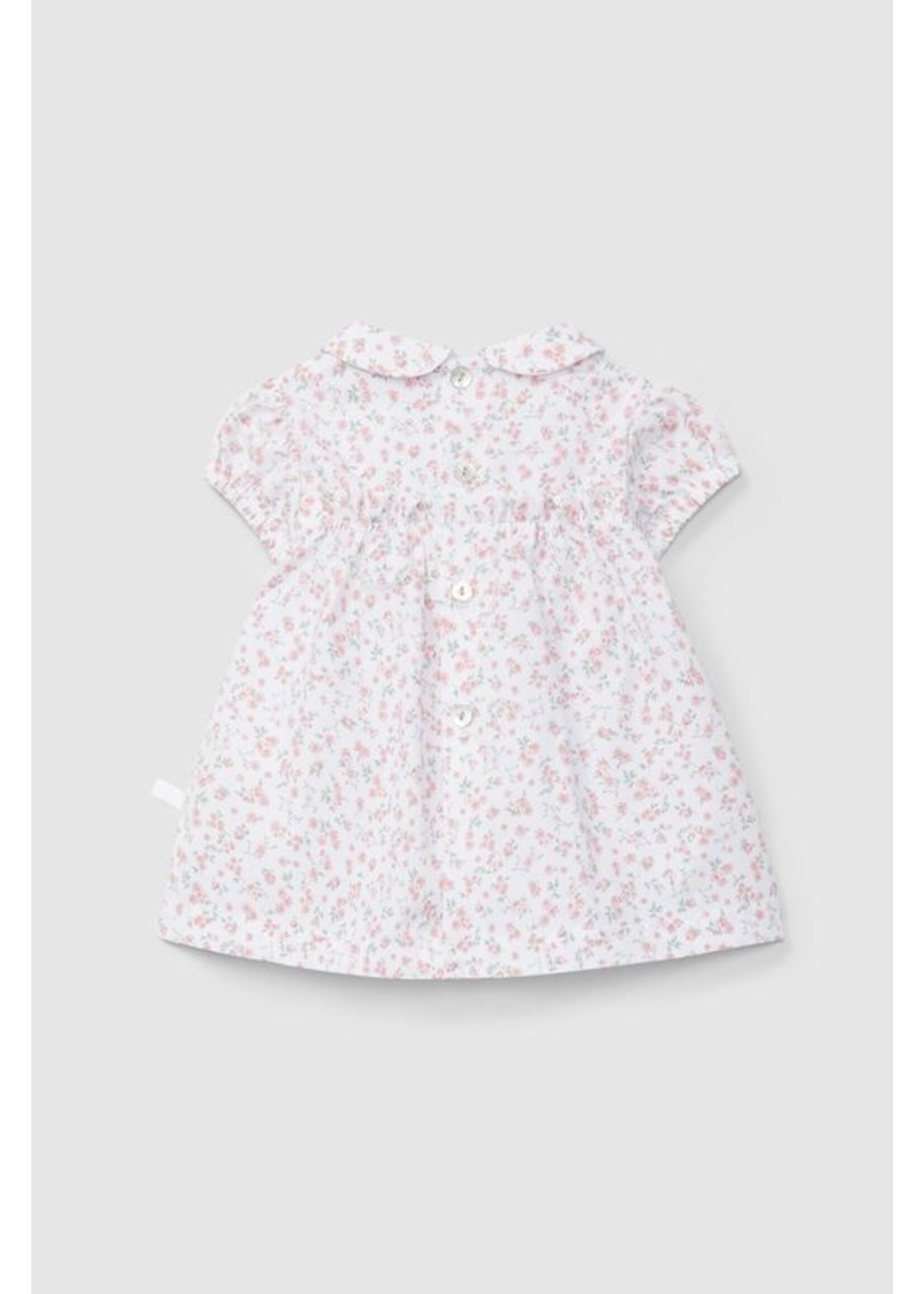 LARANIJNHA Dress