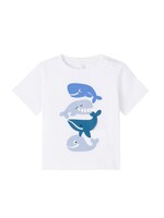 Stella McCartney Shark t-shirt