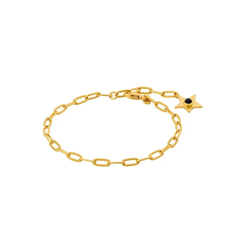 Pernille Corydon Jewellery Pernille Corydon armband b-382-gp twinkling star bracelet adj. 19 cm