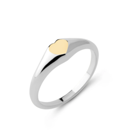Melano Jewelry Melano friends love Ring Zilver goud size 54