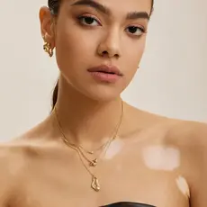 Ania Haie Ania Haie ketting N050-02G Gold Twisted Wave Chain Necklace