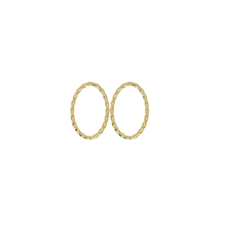 Bauer Basics Bauer Basics oorbel hangers Edelstaal ovaal S gedraaid goud 3 CM