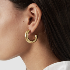 Yehwang Yehwang oorbellen 0293079-188 Earrings Structure gold 2.4 CM
