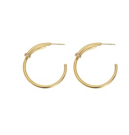 Rose & Camellia Rose & Camellia oorbellen 08958 Earrings Nail gold 3.5 CM