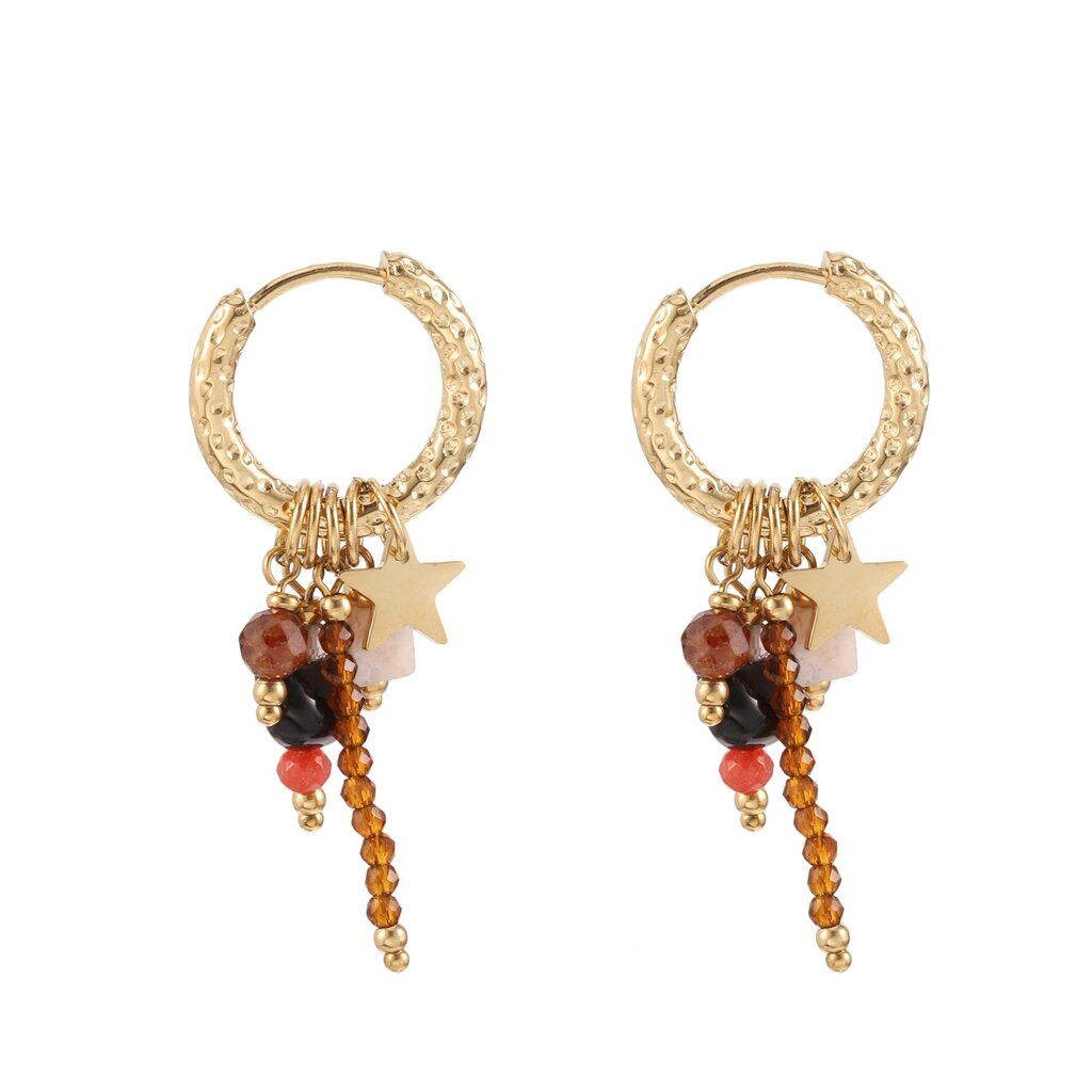 Rose & Camellia Rose & Camelia oorbellen 308957 Earrings fantasy gold