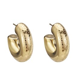 Rose & Camellia Rose & Camellia Oorbellen 8958 Earrings Leopard hoops big gold 3 - 1,5 CM