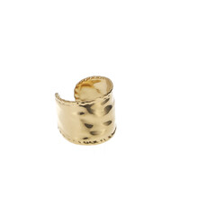Rose & Camellia Rose & Camellia ear cuff 05950 Earring gold