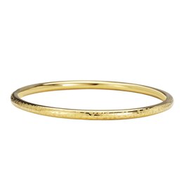 Rose & Camellia Rose & Camellia armband 08953 Bracelet Round bangle panther stainless steel gold 3 MM