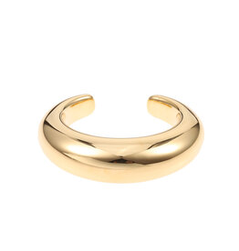 Rose & Camellia Rose & Camellia armband 22507 Bracelet Bangle big gold