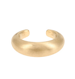 Rose & Camellia Rose & Camellia armband 22504 Bracelet bangle brushed gold