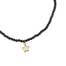 Rose & Camellia Rose & Camellia armband 3955 Bracelet black with golden star elastic