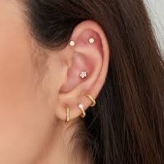 Ania Haie Ania Haie ear piercing E035-10G gold sparkle flower single