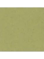 Bazzill • Smoothies kraft 30,5x30,5cm Bazzill300377 1 vel