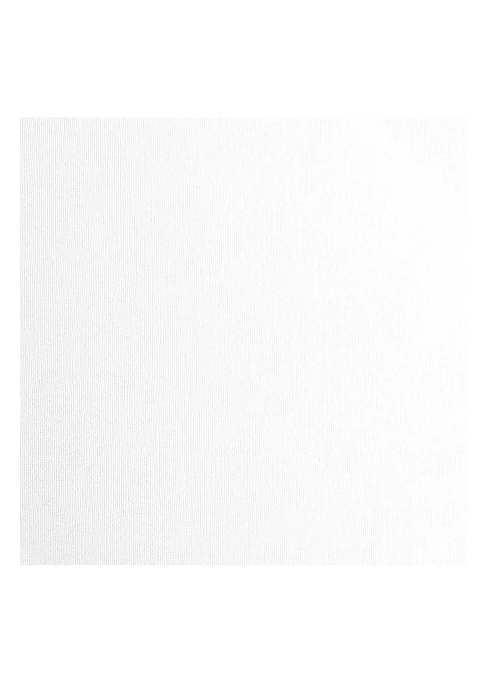 Florence Florence • Cardstock Papier Textuur 30,5x30,5cm 10stuks White Florence2928-097
