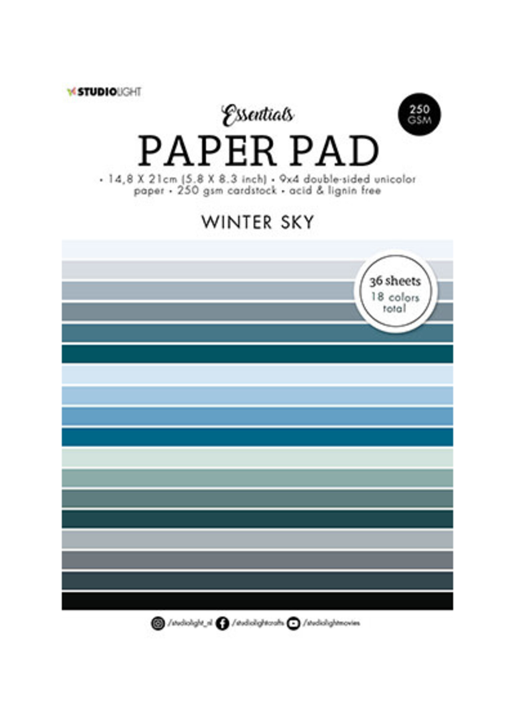 Studio Light SL-ES-PP100 - Paper Winter Sky Essentials nr.100