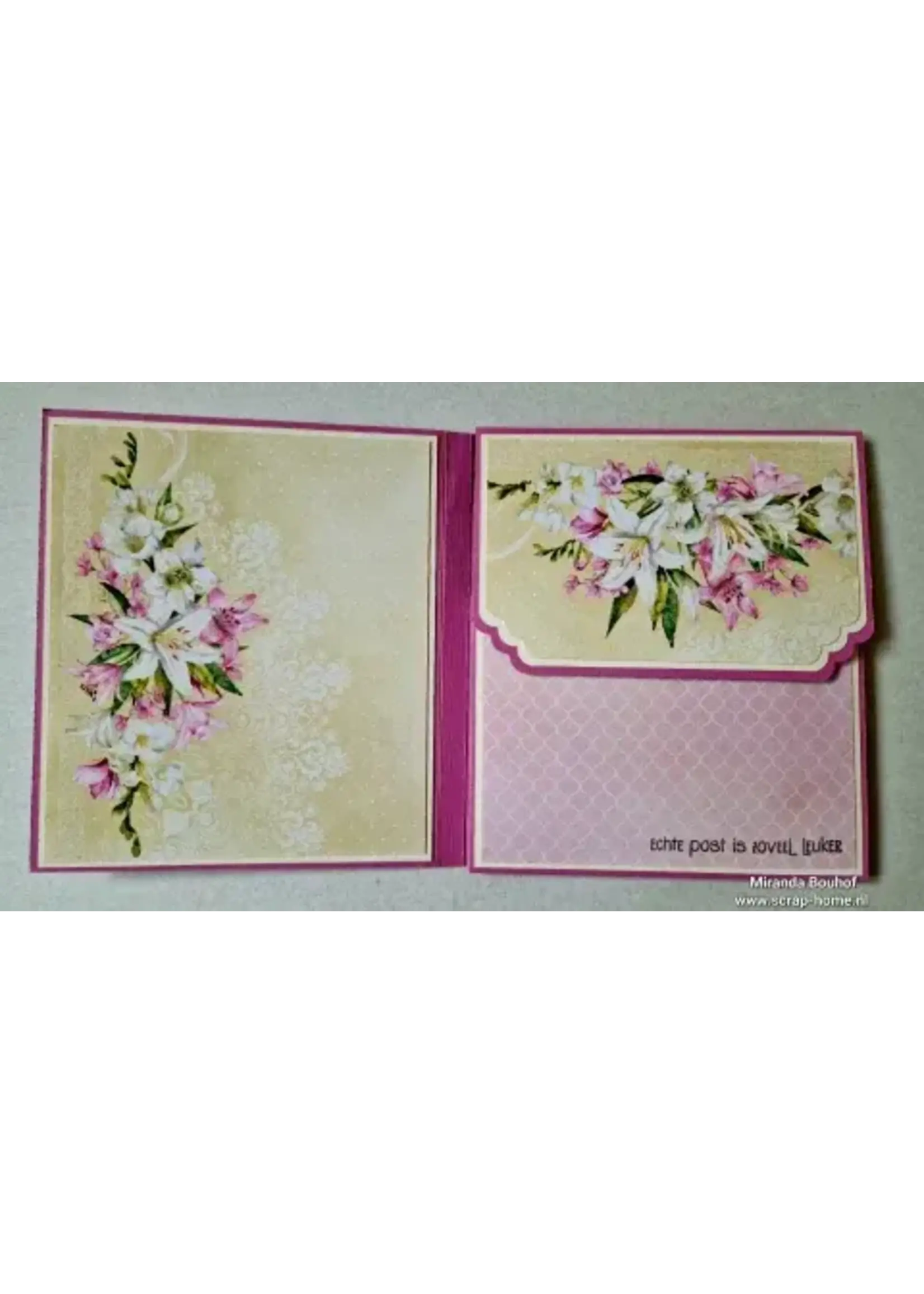 Fotokaart met Schudvlinder