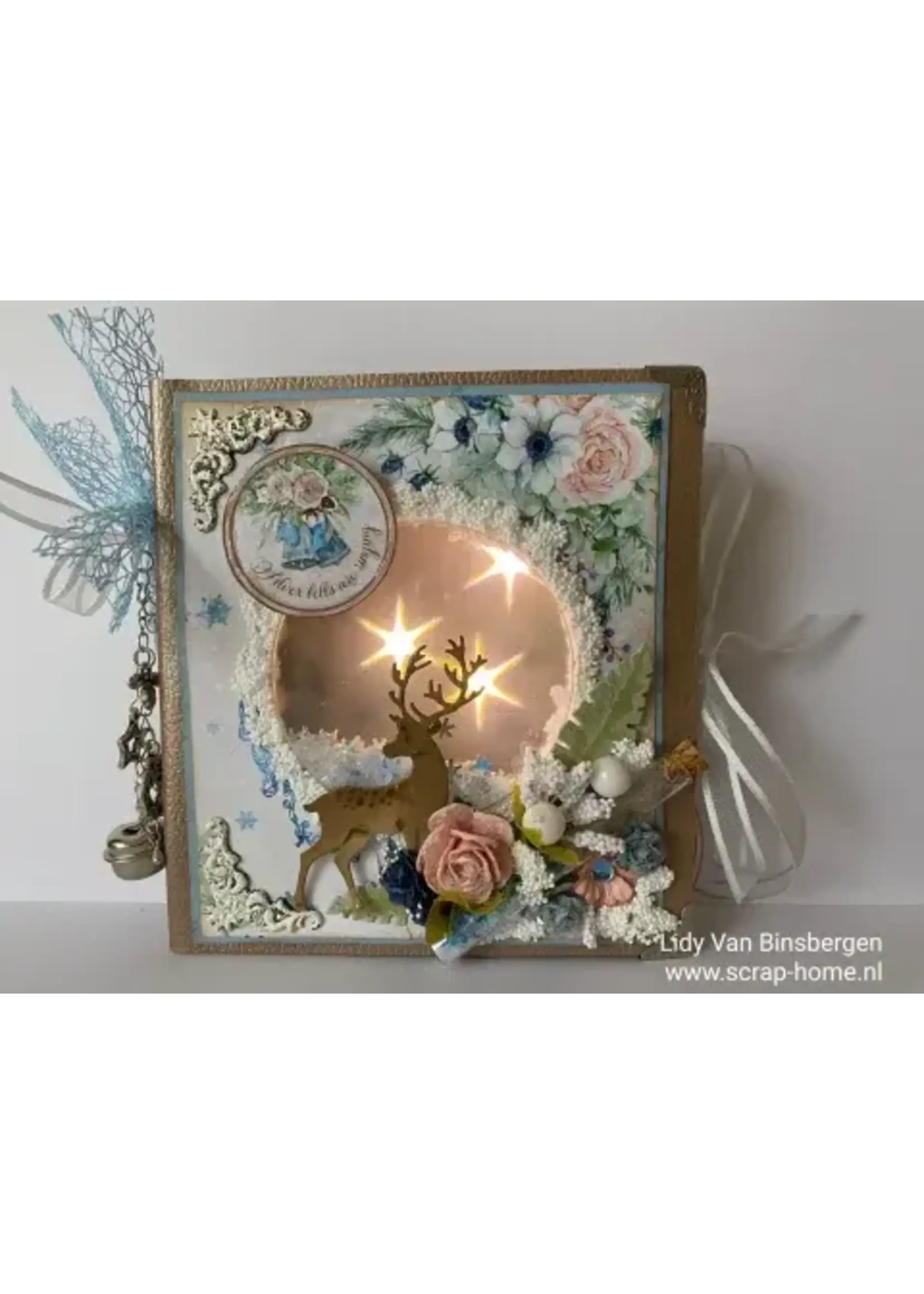 Kerstboek Kaart met Verlichting Lidy