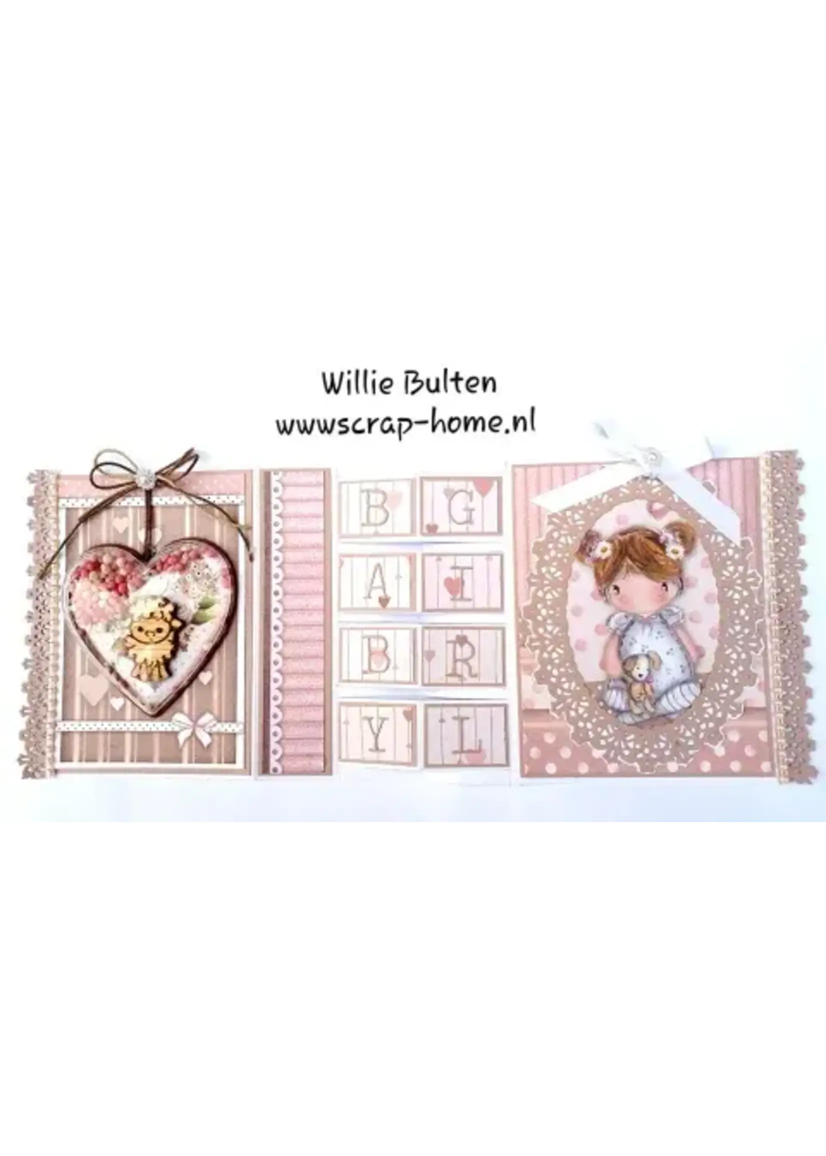 Schudkaart baby girl met muisjes