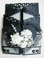 Harmonica Kaart met Omhulsel