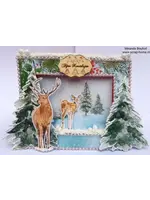 Kaart met diepte venster