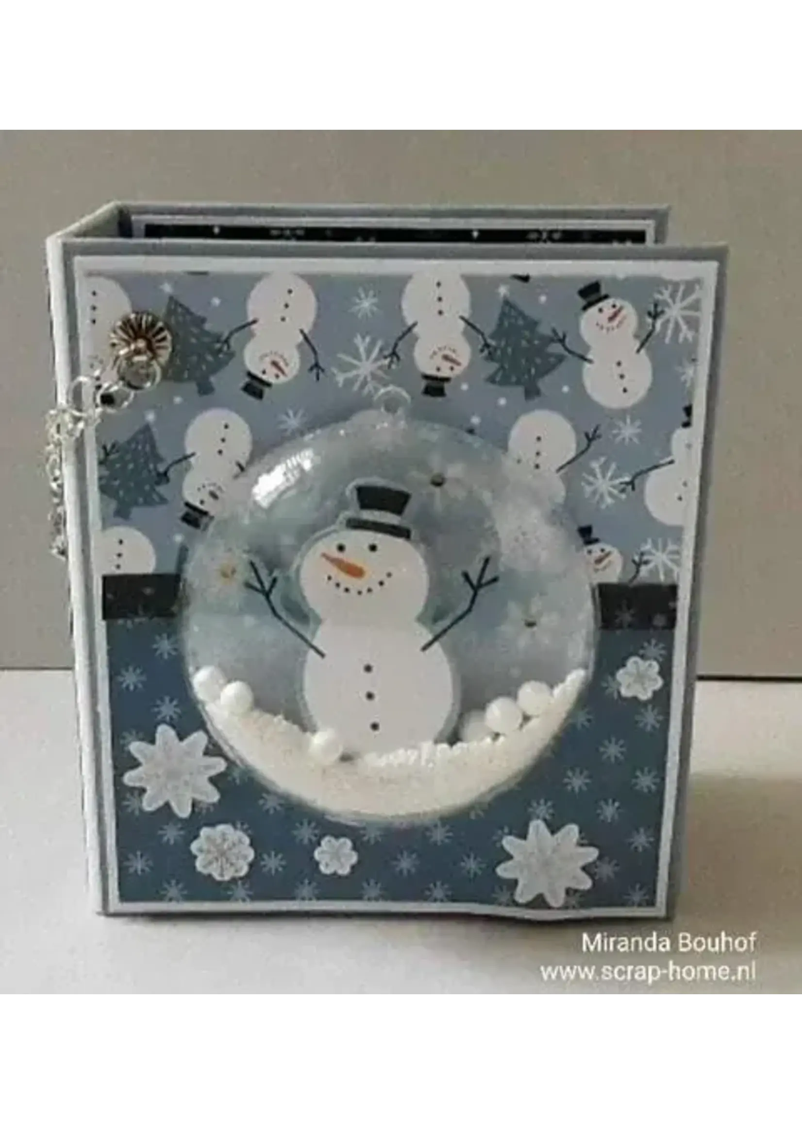 Magic of winter album met Lichtjes