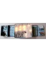 Lichtjes Album Arctic Antarctic