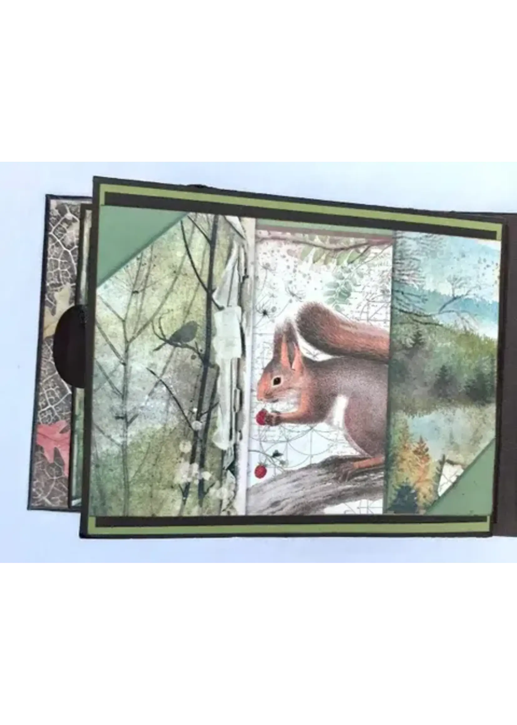 Forest Album Pakket  (excl. glansfoli)