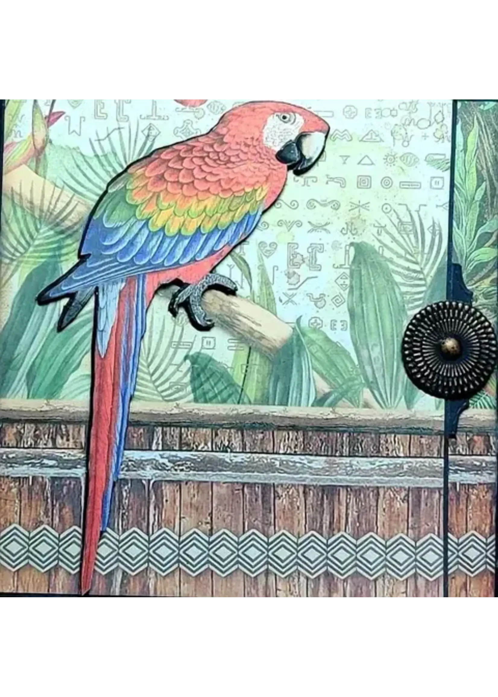 Workshop Pakket Album Amazonia