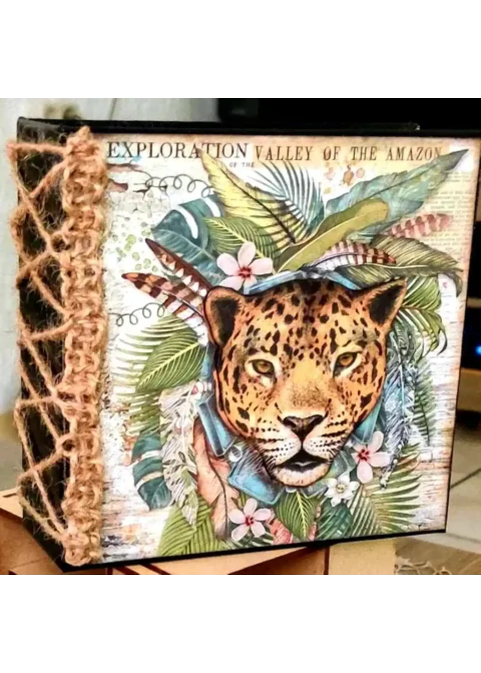 Workshop Pakket Album Amazonia