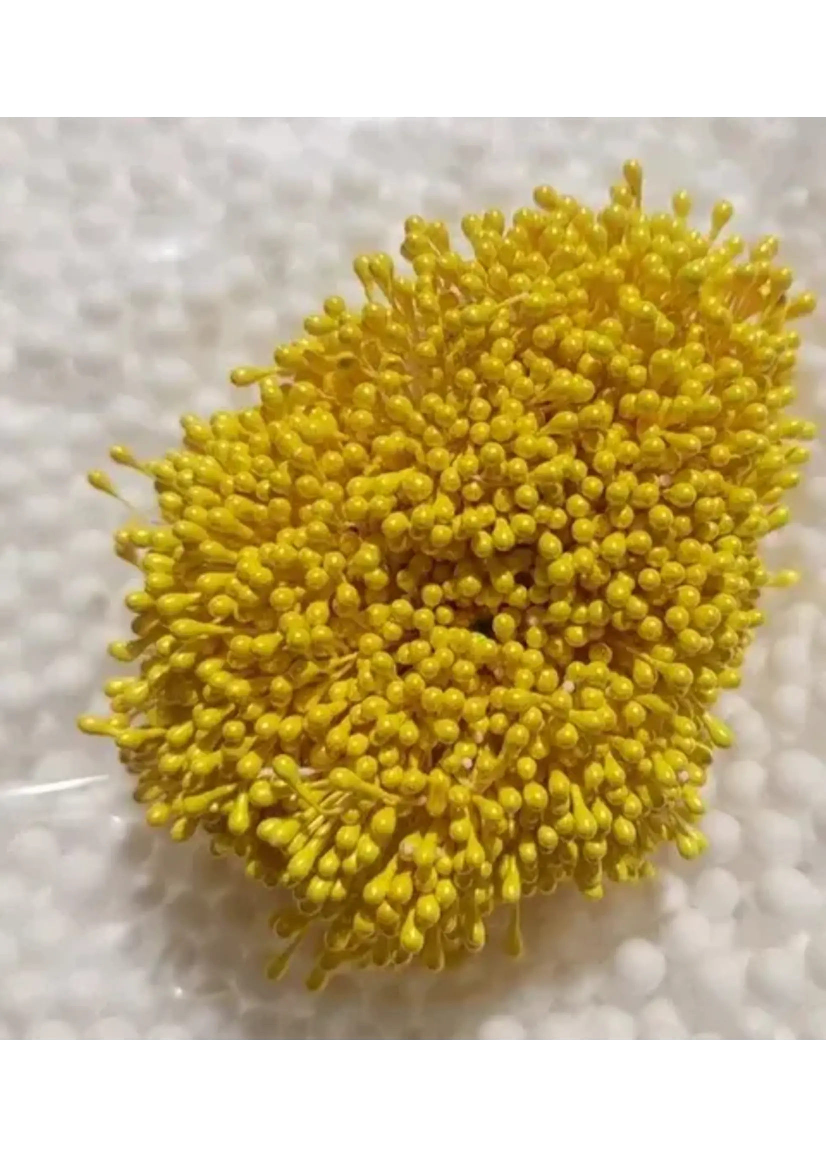 Meeldraden geel 3 mm knop circa 100 knopjes