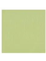 Florence Cardstock Florence Anise 30,5 x 30,5 cm 10 vel