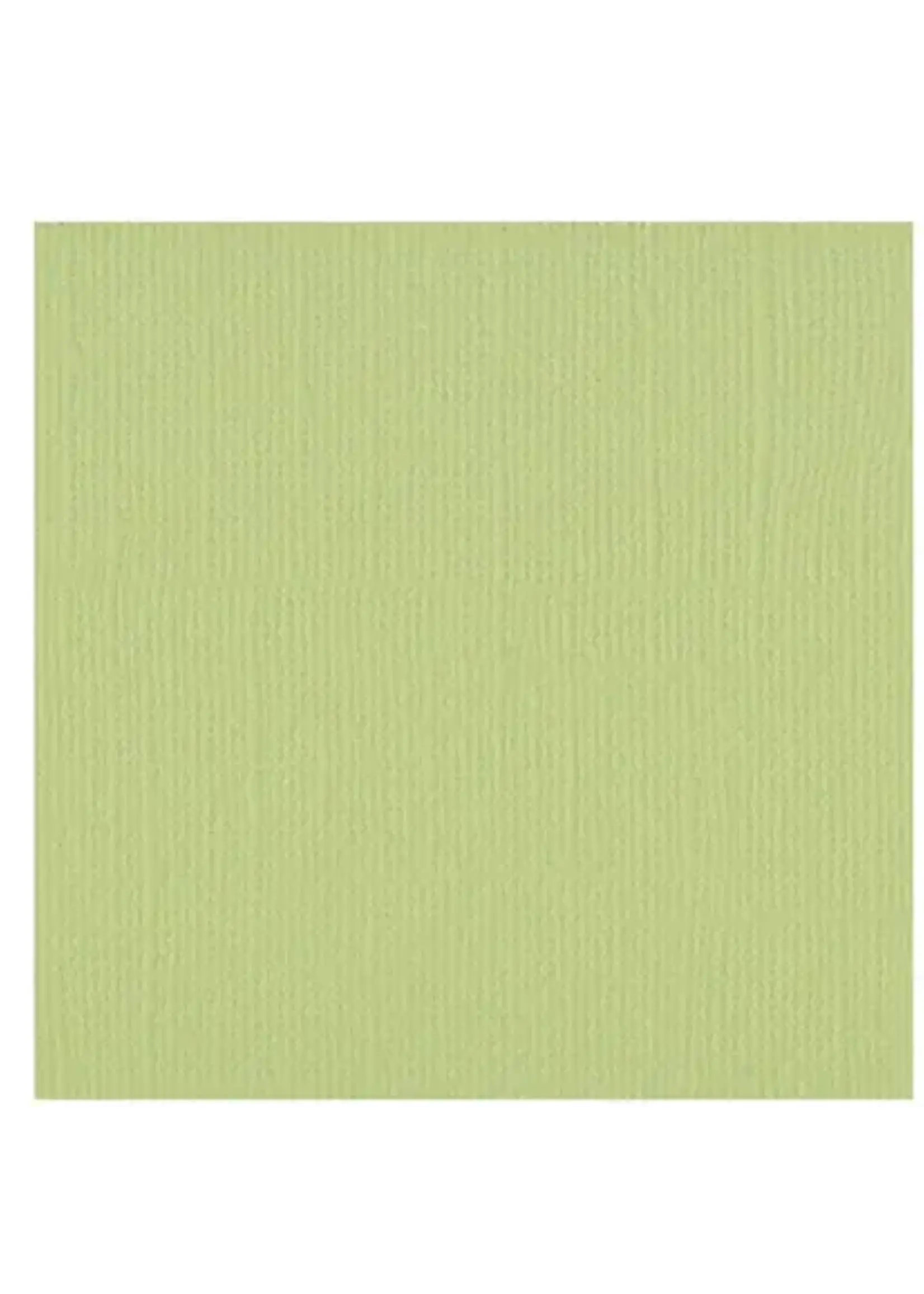 Florence Cardstock Florence Anise 30,5 x 30,5 cm 10 vel
